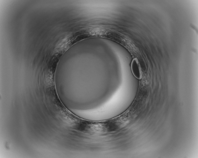 X0000096420411200802071707