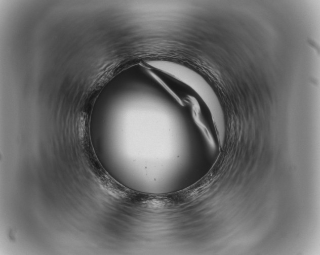 X0000096420412200802071707