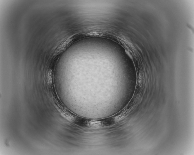 X0000096420413200802071707