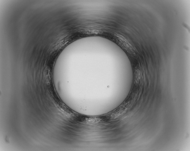 X0000096420414200802071707