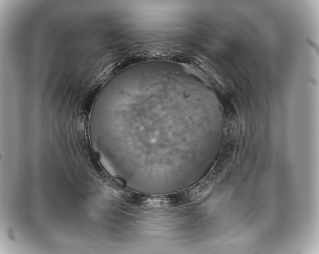 X0000096420415200802071707