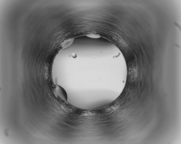 X0000096420416200802071707