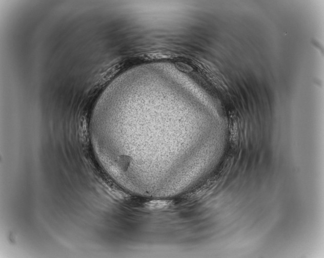 X0000096420418200802071707