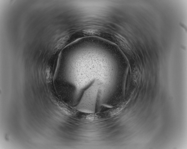 X0000096420420200802071707