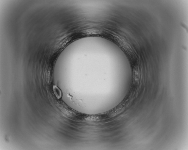 X0000096420422200802071707