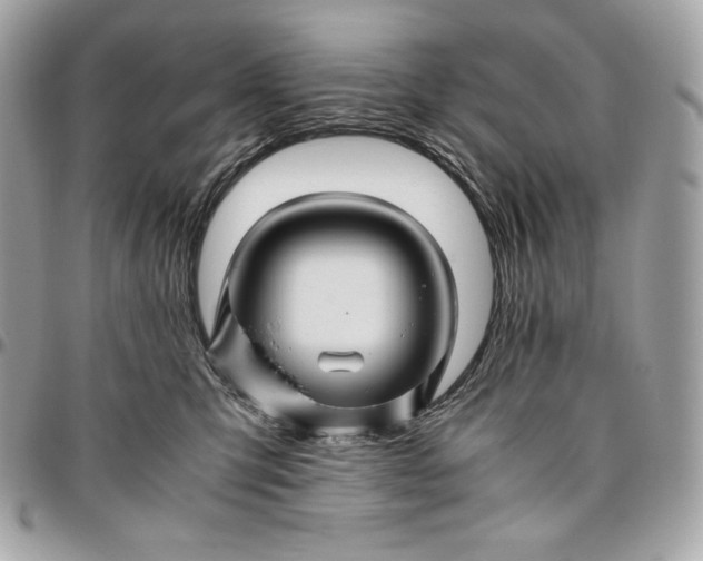 X0000096420423200802071707