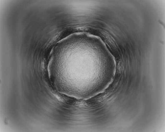 X0000096420424200802071707