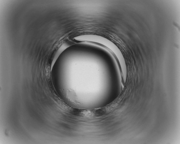 X0000096420425200802071707