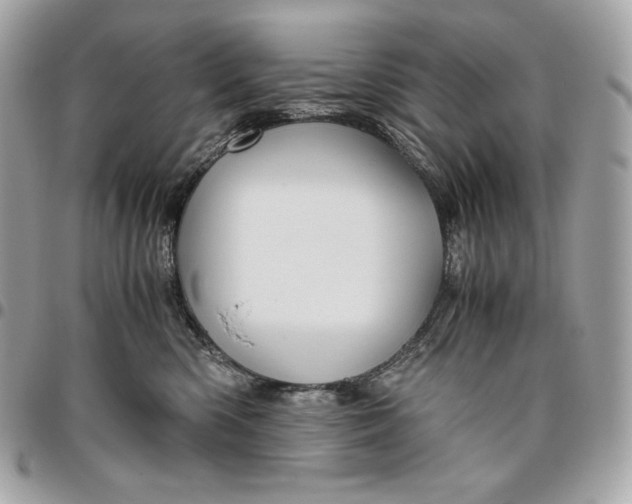 X0000096420426200802071707