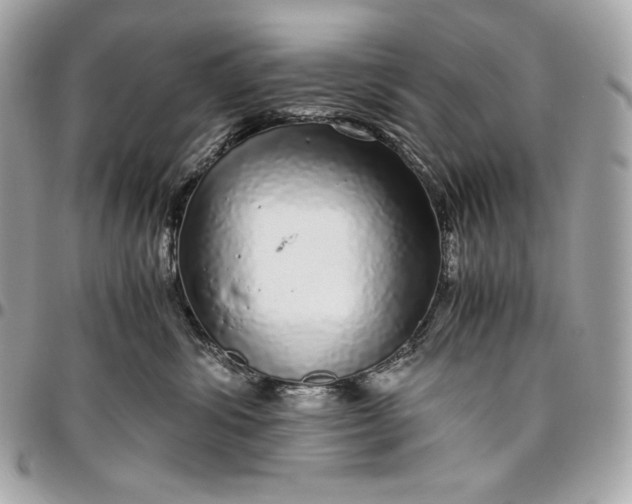 X0000096420428200802071707