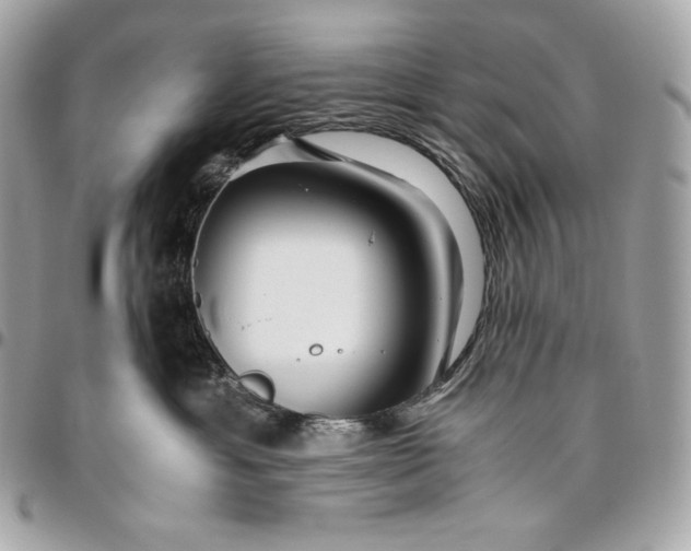 X0000096420429200802071707