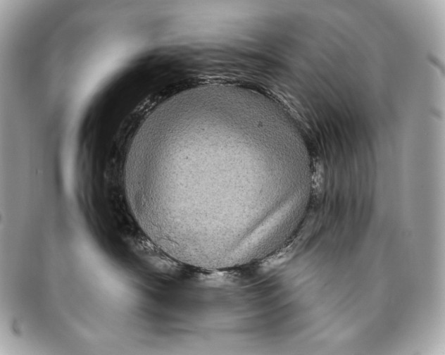 X0000096420430200802071707