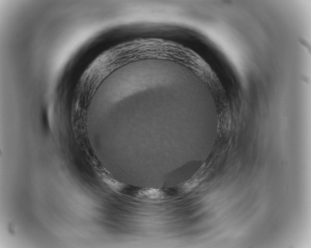 X0000096420431200802071707