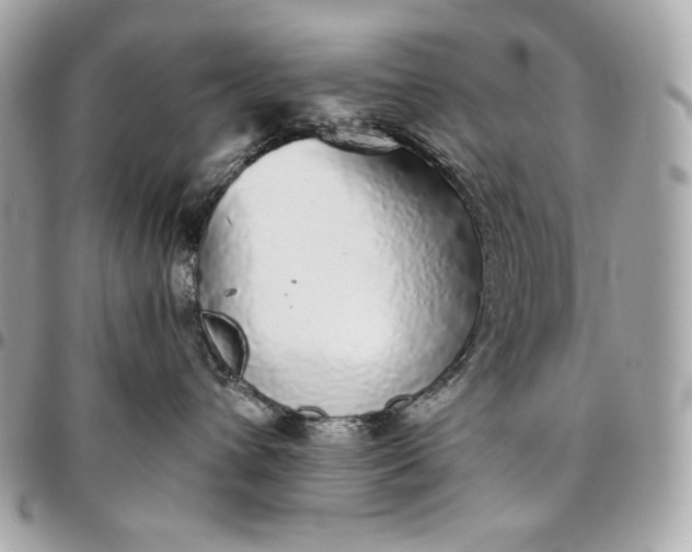 X0000096420432200802071707