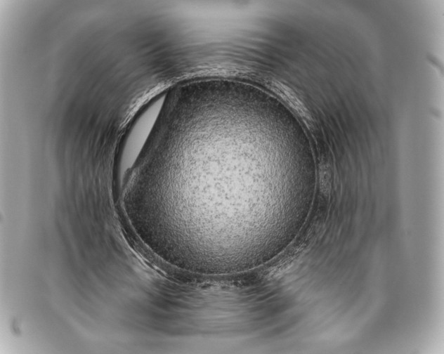 X0000096420434200802071706