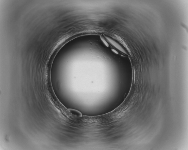 X0000096420435200802071706