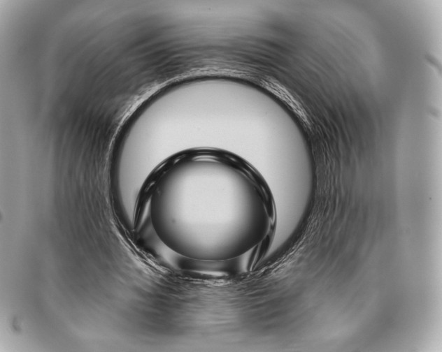 X0000096420436200802071706