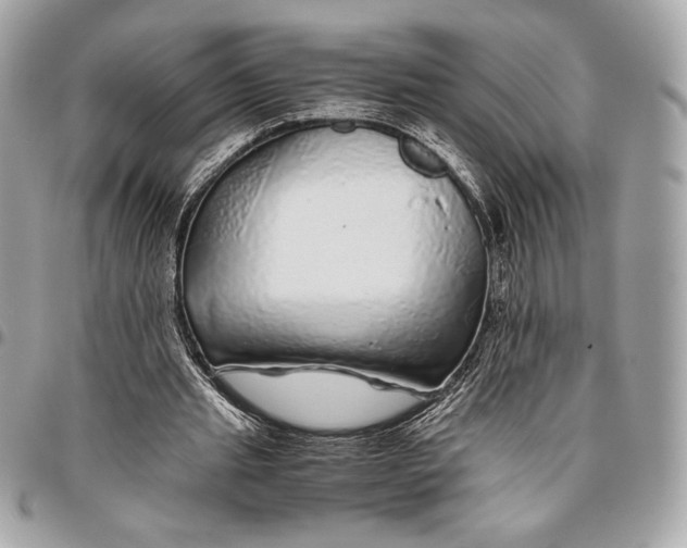 X0000096420437200802071706