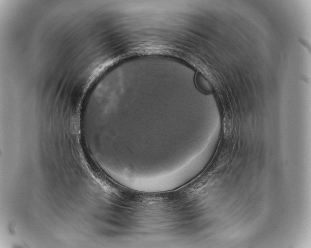 X0000096420438200802071706