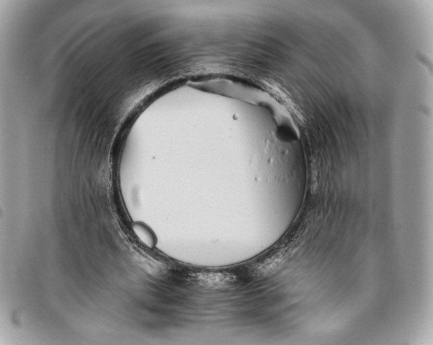 X0000096420439200802071706