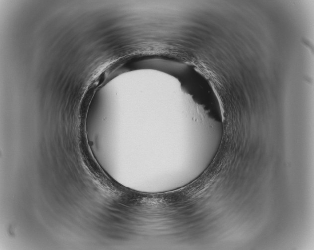 X0000096420440200802071706