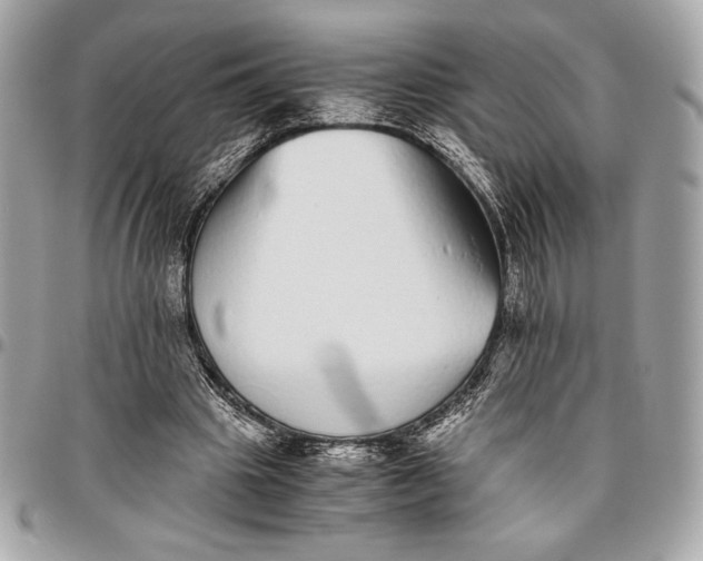 X0000096420441200802071706