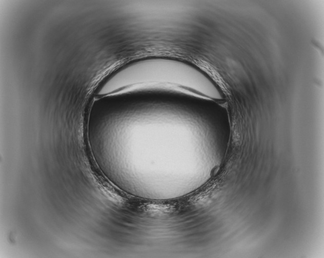 X0000096420442200802071706