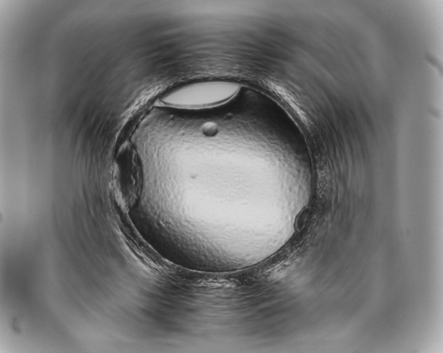 X0000096420443200802071706