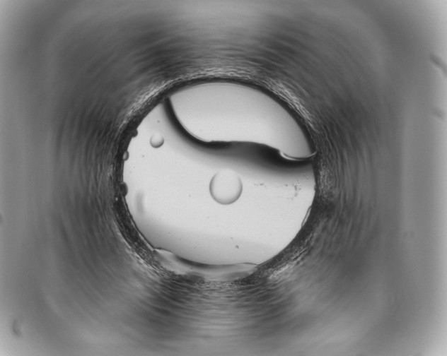 X0000096420444200802071706