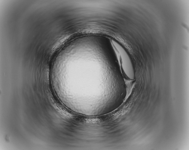 X0000096420446200802071706