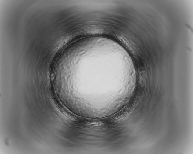 X0000096420447200802071706