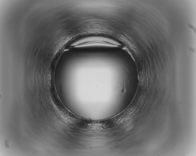 X0000096420448200802071706