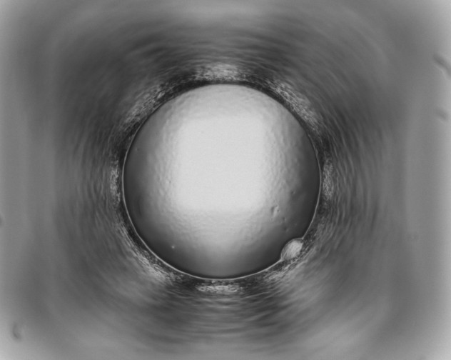 X0000096420449200802071706