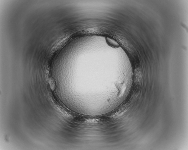 X0000096420450200802071706