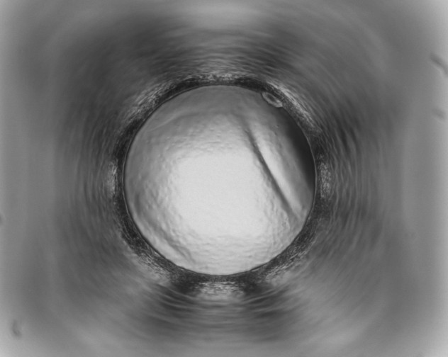 X0000096420451200802071706