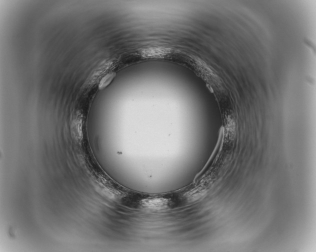 X0000096420452200802071706