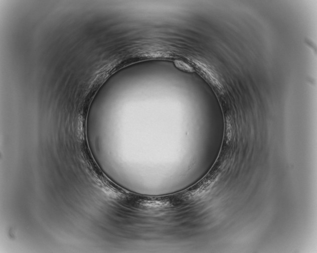 X0000096420453200802071706