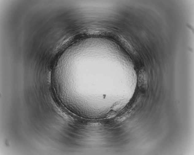 X0000096420454200802071706