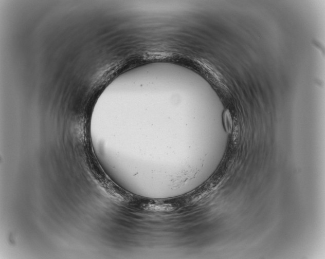 X0000096420455200802071706