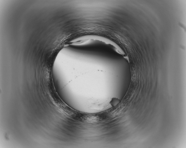 X0000096420456200802071706