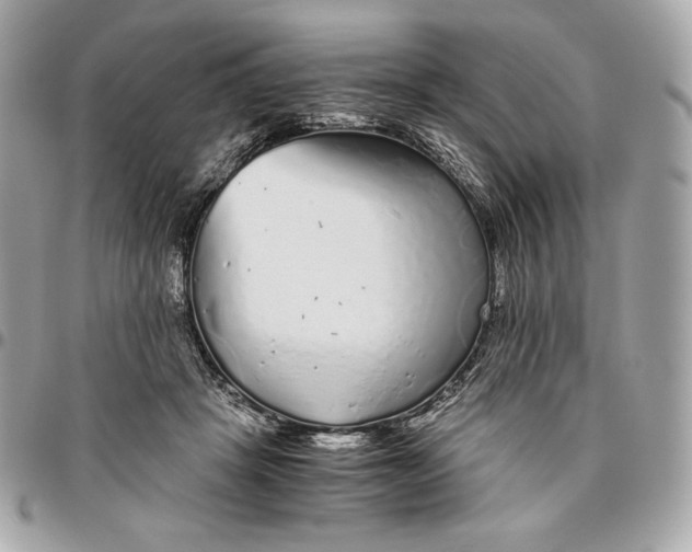 X0000096420457200802071706