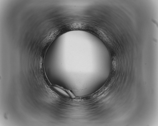 X0000096420458200802071706