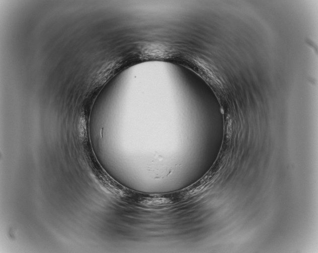 X0000096420459200802071706