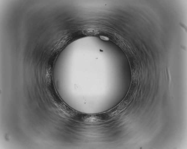 X0000096420460200802071706