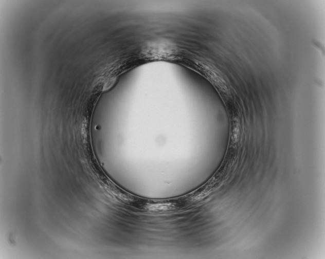 X0000096420461200802071706