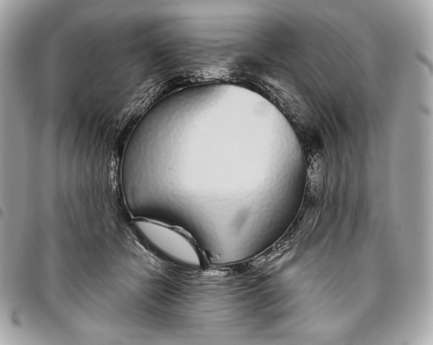 X0000096420462200802071706