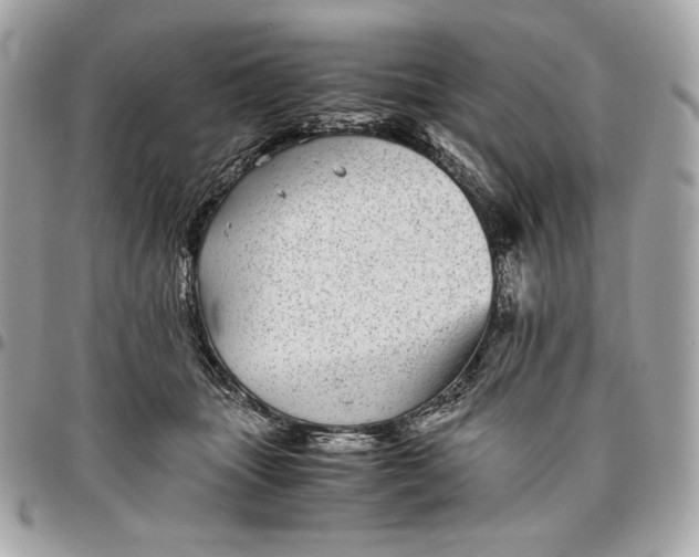 X0000096420463200802071706