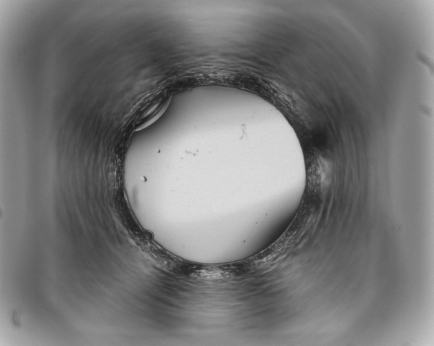 X0000096420464200802071707