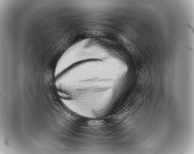 X0000096420465200802071707