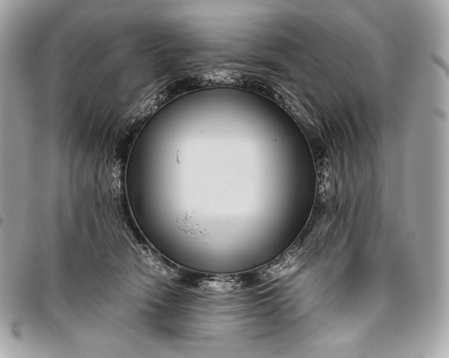 X0000096420466200802071707